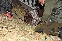 VBS_6459 - Inaugurazione Stagione 2022-23 Simulazione Ricerca Tartufo